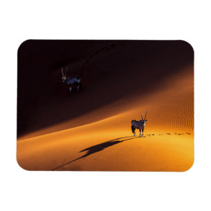 Imán Desiertos   Parque nacional Namib Naukluft - Kenya
