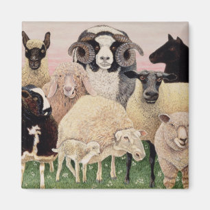 Imán Deslumbramiento de Pastores