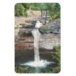 Imán Desoto Falls Magnet