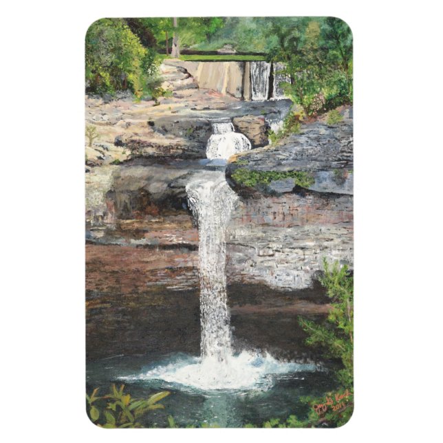 Imán Desoto Falls Magnet (Vertical)