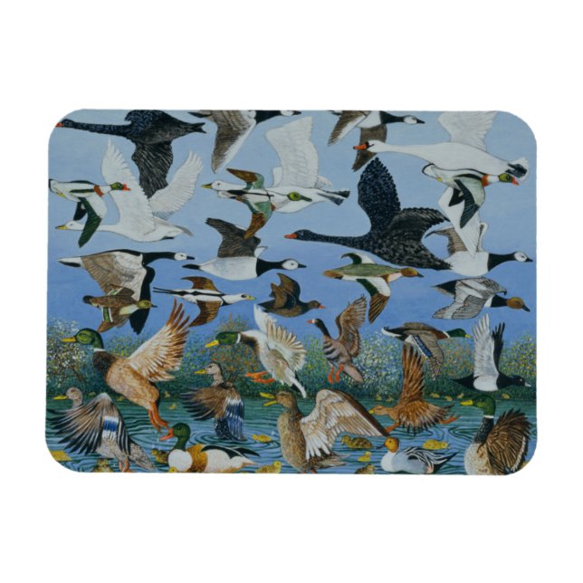 Imán Despegar 1996 (Horizontal)