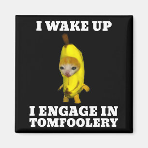 Imán Despierto Me Involucro En El Meme Del Gato Tomfool