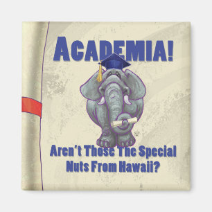 Imán Desplazamiento académico
