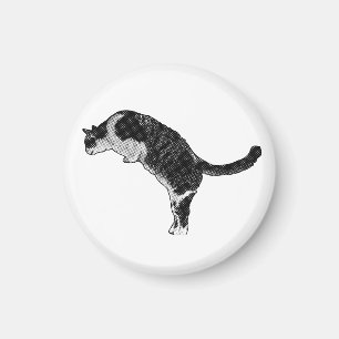 Imán Detalle de gato magnético
