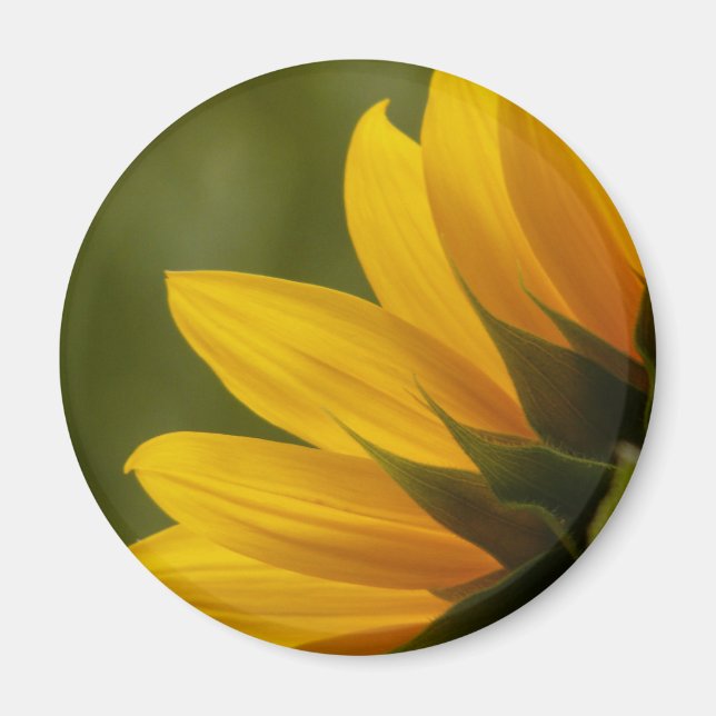 Imán Detalle de girasol (Frente)