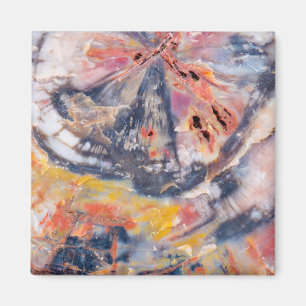 Imán Detalle de madera Petrificada, Arizona