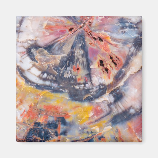 Imán Detalle de madera Petrificada, Arizona (Frente)