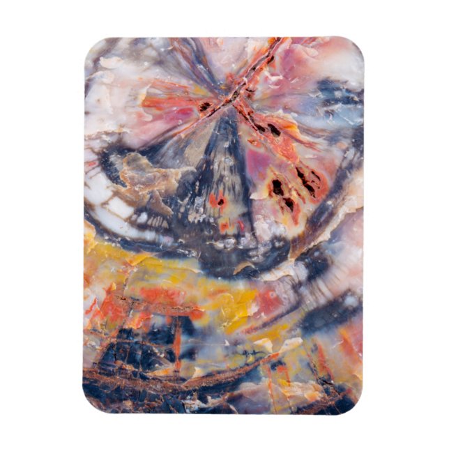 Imán Detalle de madera Petrificada, Arizona (Vertical)