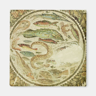 Imán Detalle de pescados, las cuatro estaciones, de