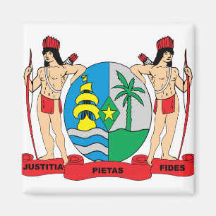 Imán Detalle del escudo de armas de Suriname