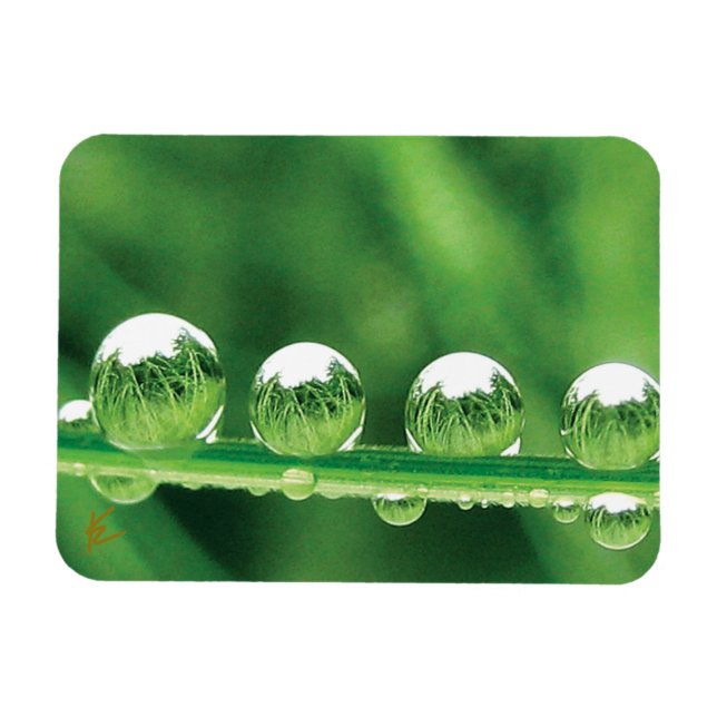Imán Dew Drops On Green Grass Elegant Nature (Horizontal)