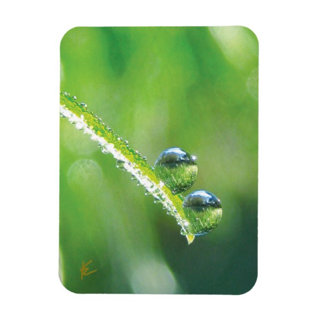 Imán Dew Drops on Green Grass Peaceful Nature (Vertical)