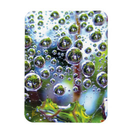 Imán Dew Drops on Spider Web Amazing Nature