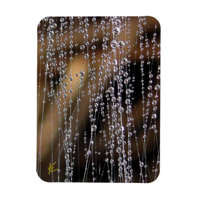Imán Dew Drops Sparkle on Spider Web Meditation (Vertical)