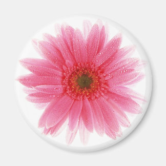Imán Dewy Pink Gerbera Flower