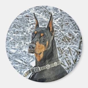 Imán Día de Fosty del Doberman