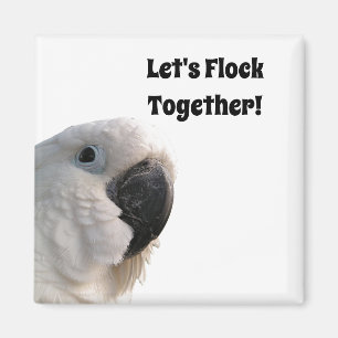 Imán Día de la Amistad Cockatoo Flock Funny Photo