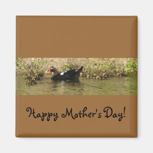 Imán Día de la Madre Muscovy Duck Magnet
