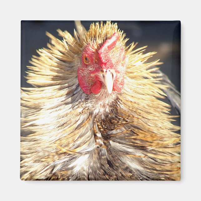 Imán Día de la Mala Pena (Frente)