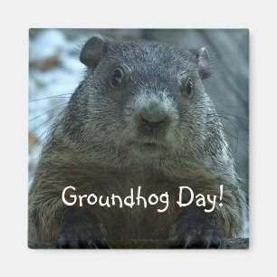 Imán ¡Día de la marmota!!