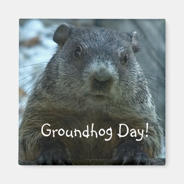 Imán ¡¡¡Día de la Marmota!! (Frente)
