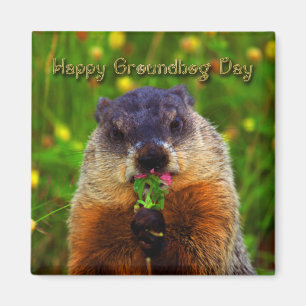 Imán Día de la marmota feliz que come la flor