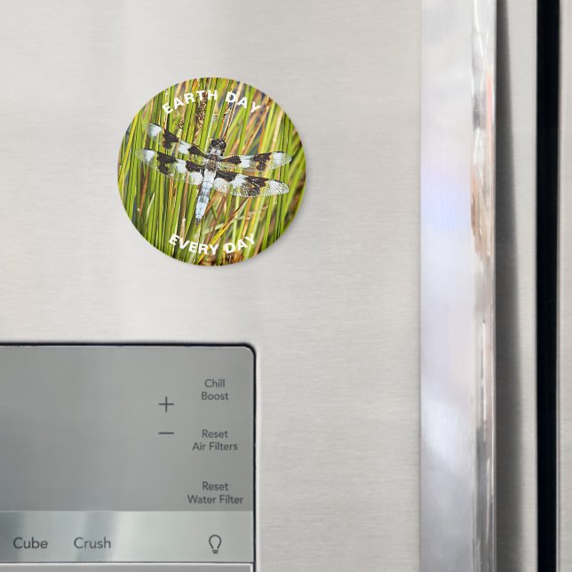 Imán Día de la Tierra todos los días mosca blanca común (In situ (nevera))