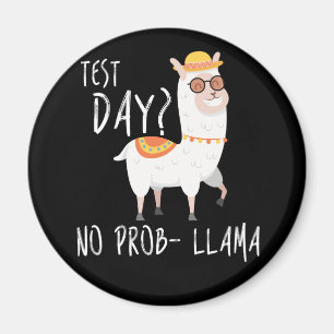 Imán Día de prueba No Prob Llama Examen Docente