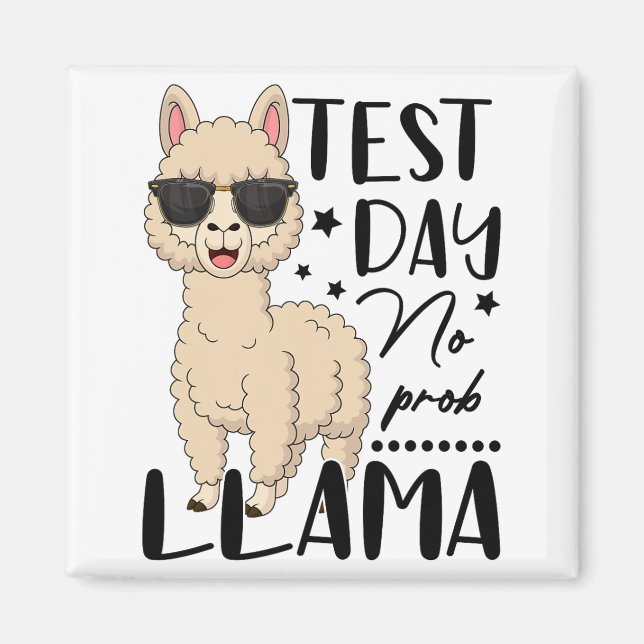 Imán Día de prueba No Prob Llama Profesora Examen D (Frente)