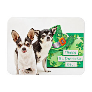 Imán Día de San Patricio de Chihuahua
