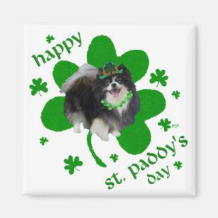 Imán Día de San Patricio de Pomerania Negra