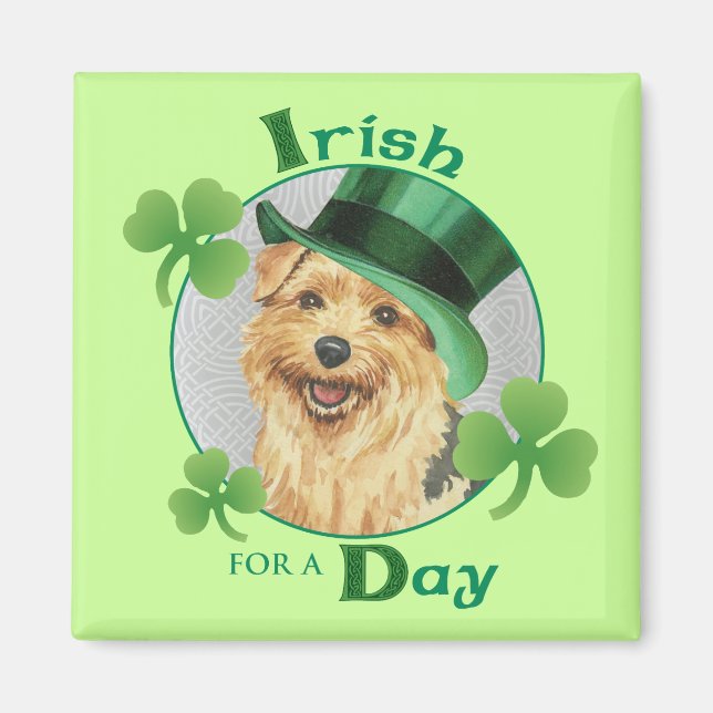 Imán Día de San Patricio Norfolk Terrier (Frente)