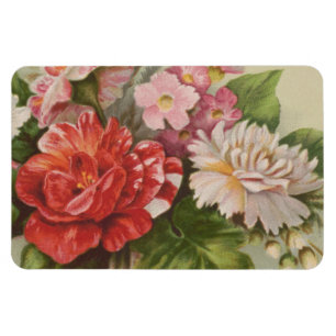 Imán Día de San Valentín antiguo, L. Prang & Co., 1882
