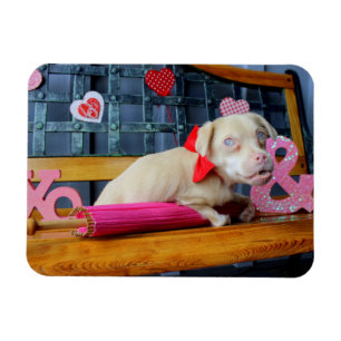 Imán Día de San Valentín Tucker Magnet