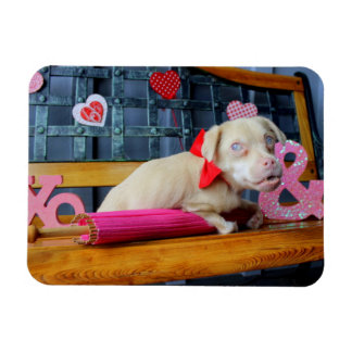 Imán Día de San Valentín Tucker Magnet
