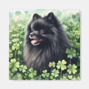 Imán Día de Santo Patrocinador de Pomerania Negra