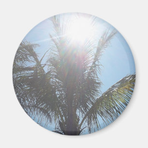 Imán Día de verano de la palmera