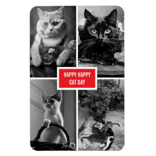 Imán día del gato negro blanco rojo