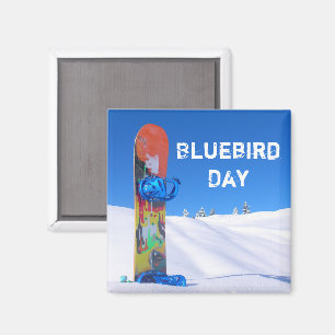 Imán Día del pájaro azul, tabla de nieve en pendiente n
