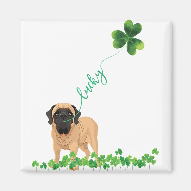 Imán Día del perro Shamrock St Patrick en Mamáes ingles (Frente)