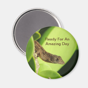 Imán Día Increíble Positividad Reptil Lindo Gecko Marró