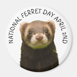 Imán Día Nacional del Ferret 2 de abril 2014
