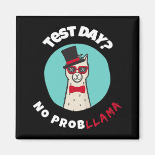 Imán Día Sin problema Prueba divertida Diseño de Llama