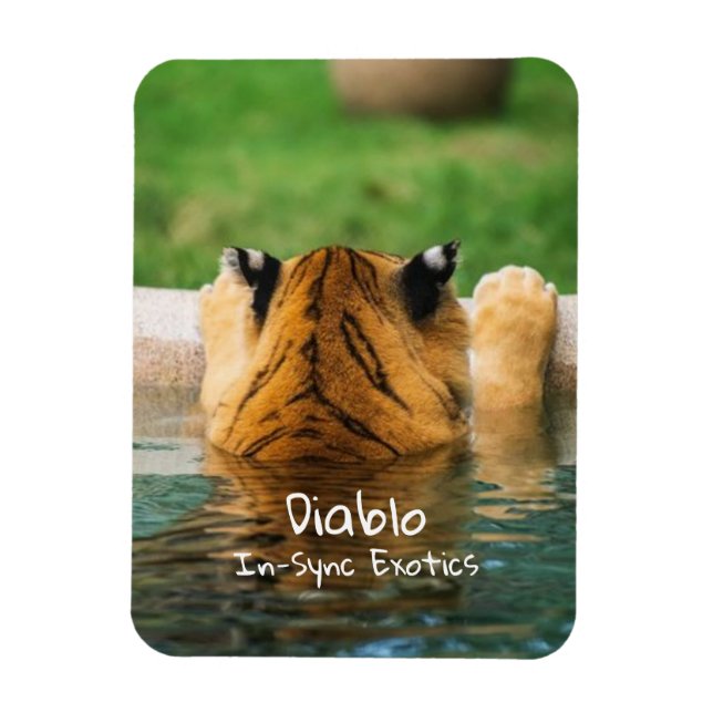 Imán Diablo (Vertical)