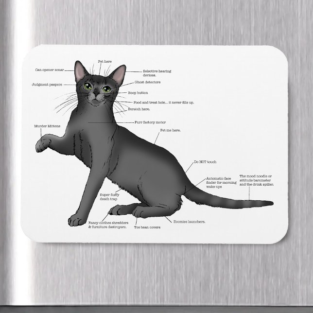Imán Diagrama divertido de anatomía de gato Humor nerd (Subido por el creador)