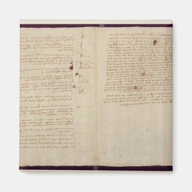 Imán Diagramas científicos (Frente)