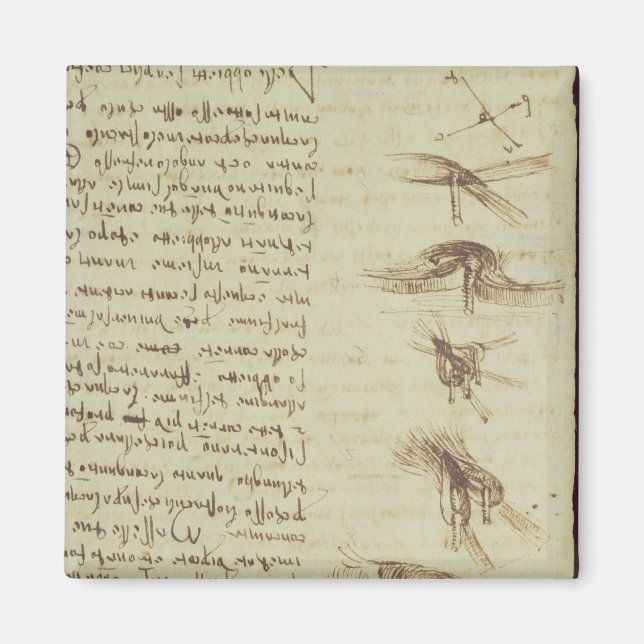 Imán Diagramas científicos (Frente)