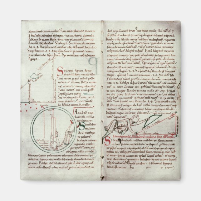 Imán Diagramas de medidas y texto (vellum) (Frente)