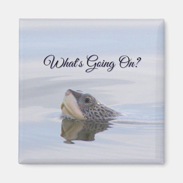 Imán Diamondback Terrapin Turtle Face Magnet (Frente)