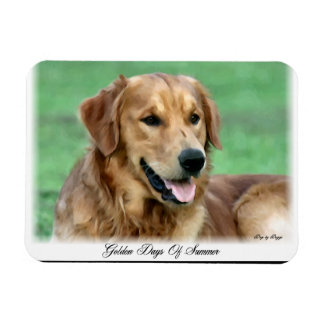 Imán Días de verano de Golden Retriever